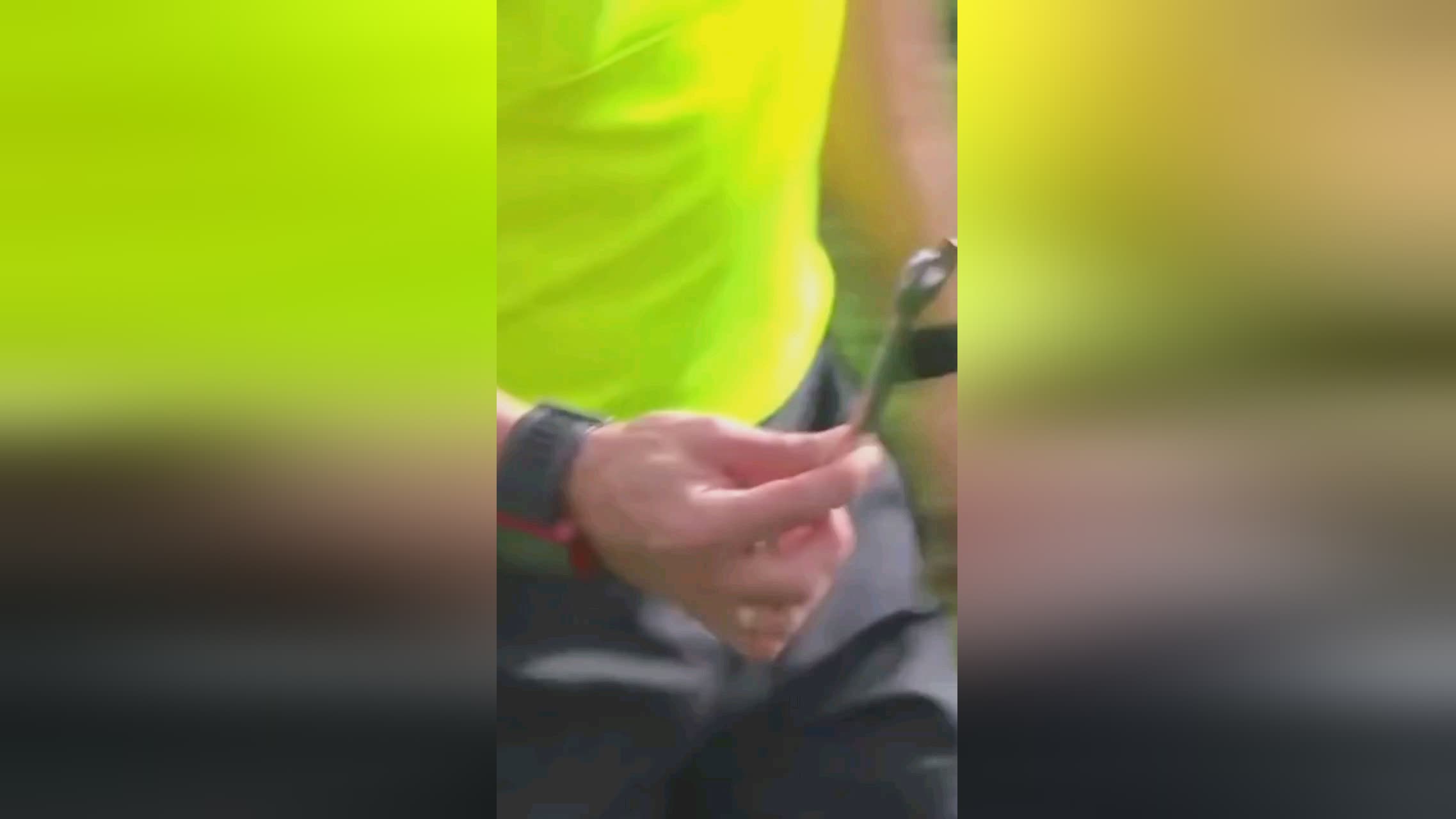 和球员都有